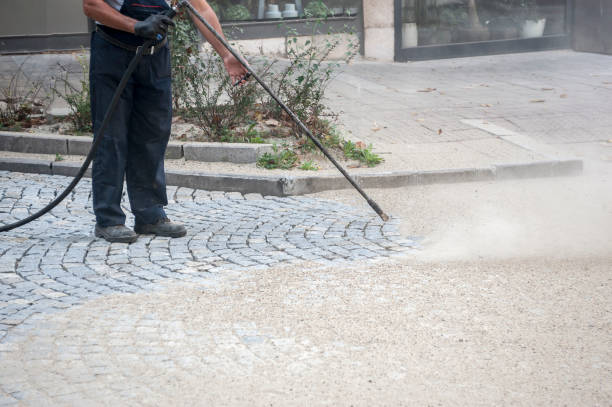 Best House Exterior Washing  in Herlong, CA